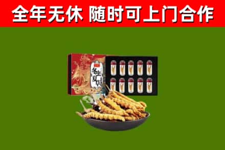 曲靖回收冬虫夏草价格